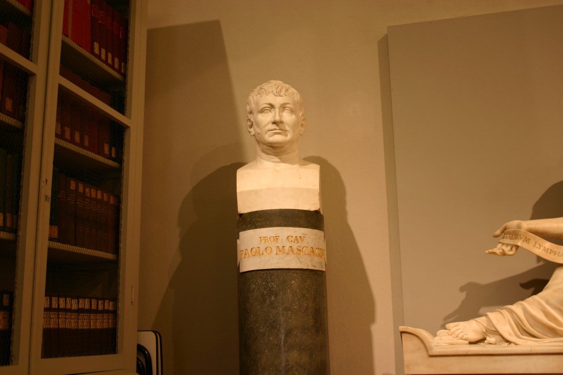 Paolo Mascagni's bust, Accademia dei Fisiocritici, Siena, Italy (72).JPG